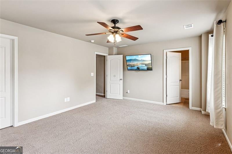 2428 Fisk Falls Drive Braselton - 32