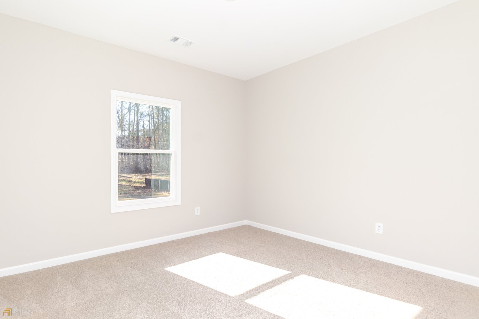 204 Maddington Court Senoia - 25