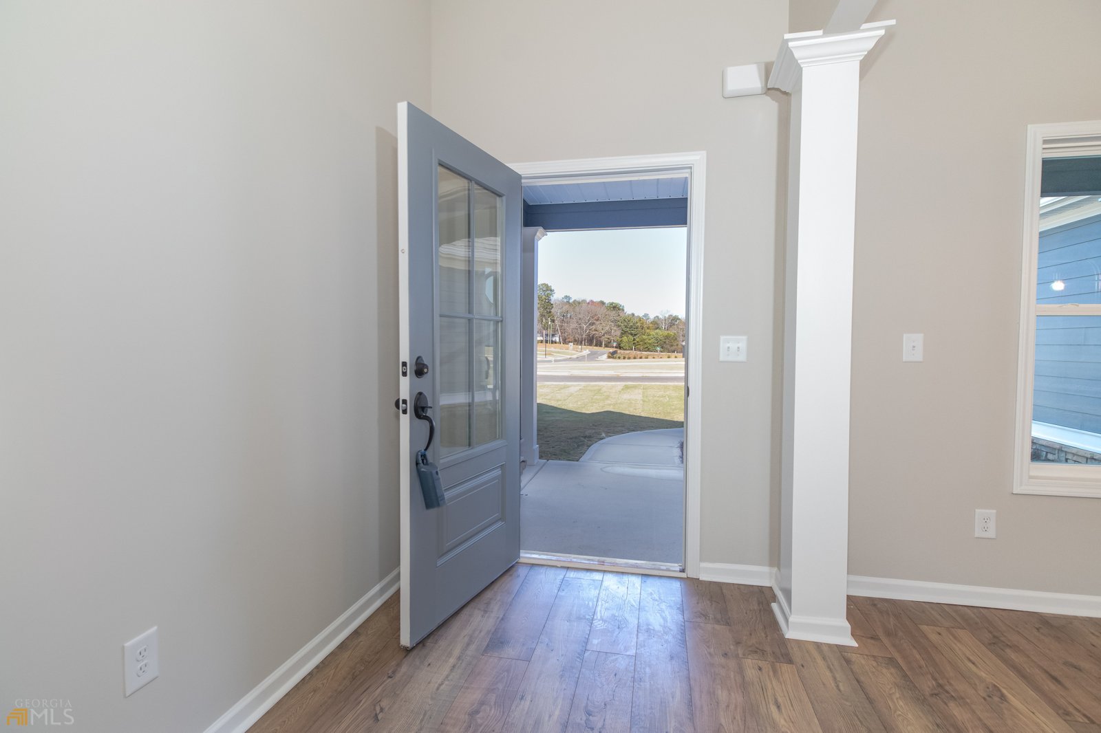 204 Maddington Court Senoia - 4