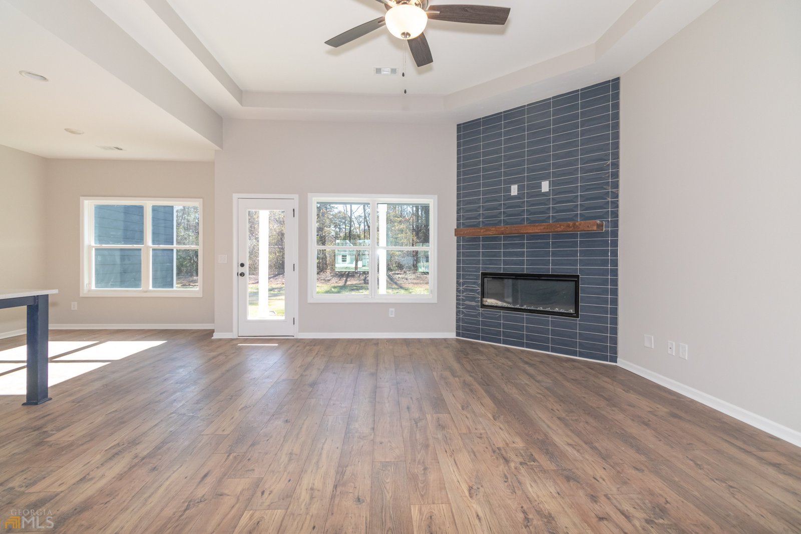 204 Maddington Court Senoia - 8