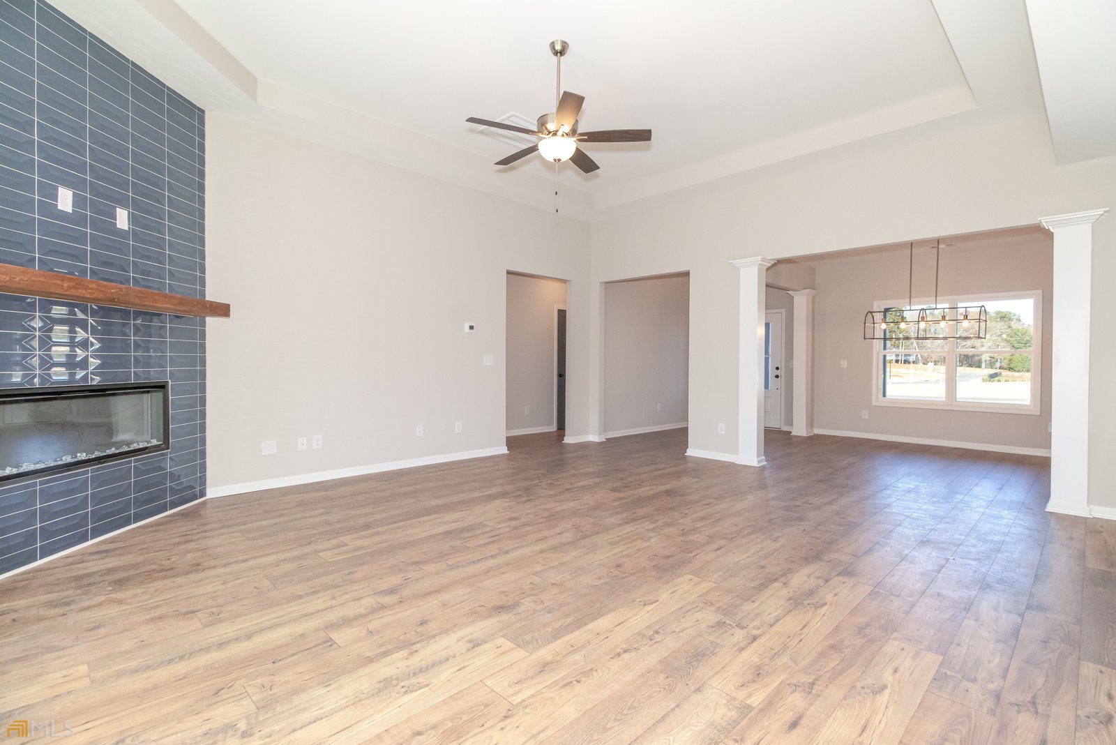 204 Maddington Court Senoia - 9