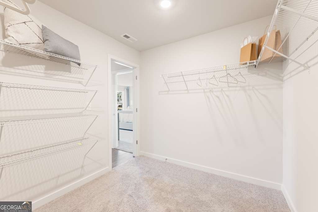 2849 Bullfrog Lane Gainesville - 29