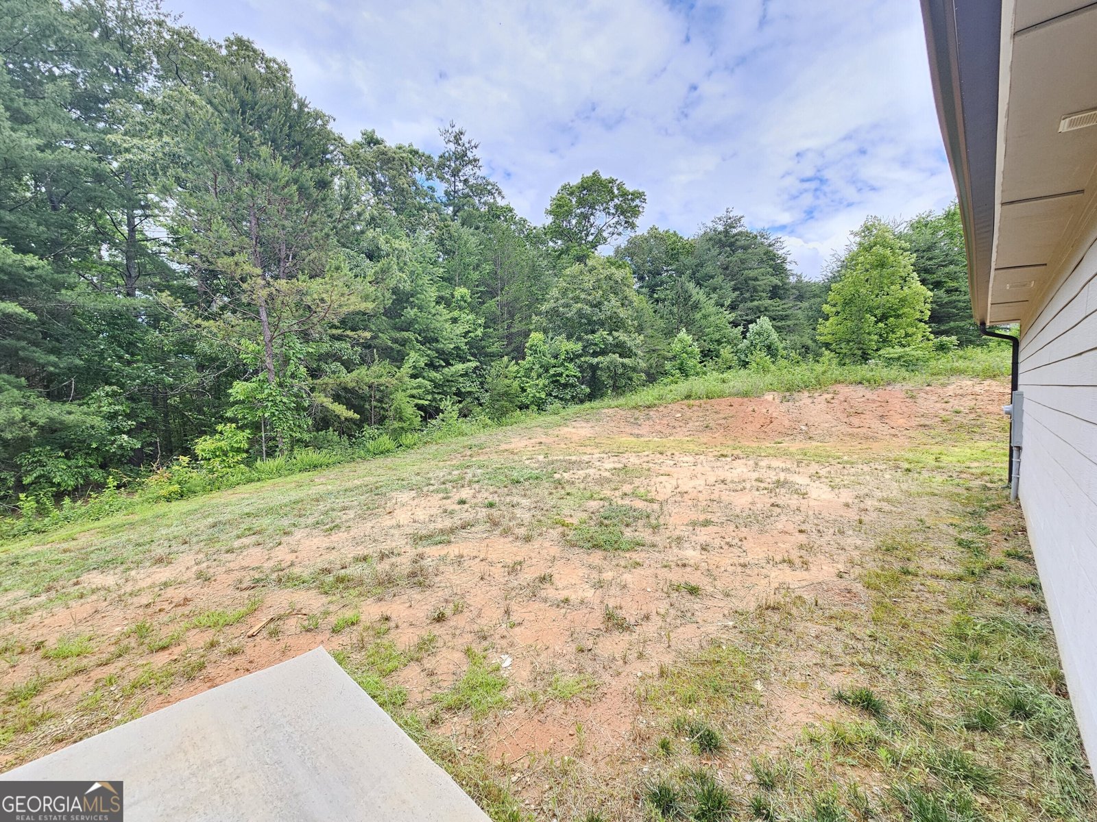 65 Log Cabin Lane Lakemont - 11