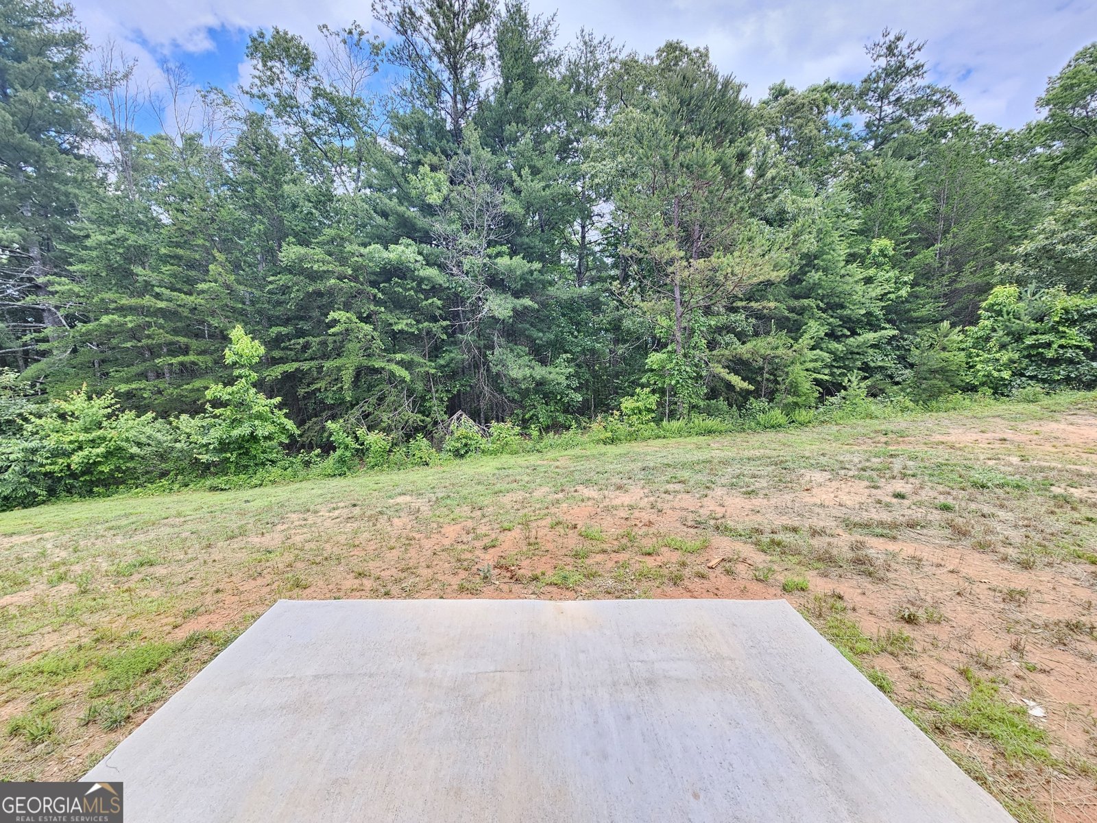 65 Log Cabin Lane Lakemont - 12