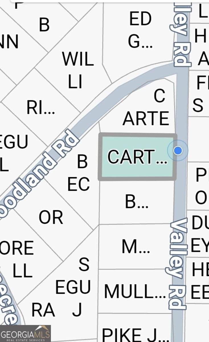 645 Valley Road Cedartown - 11