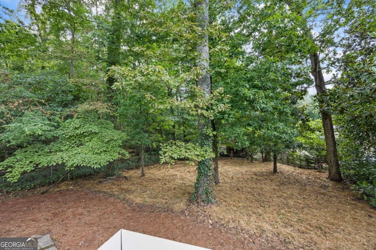 3009 Gant Quarters Drive Marietta - 33