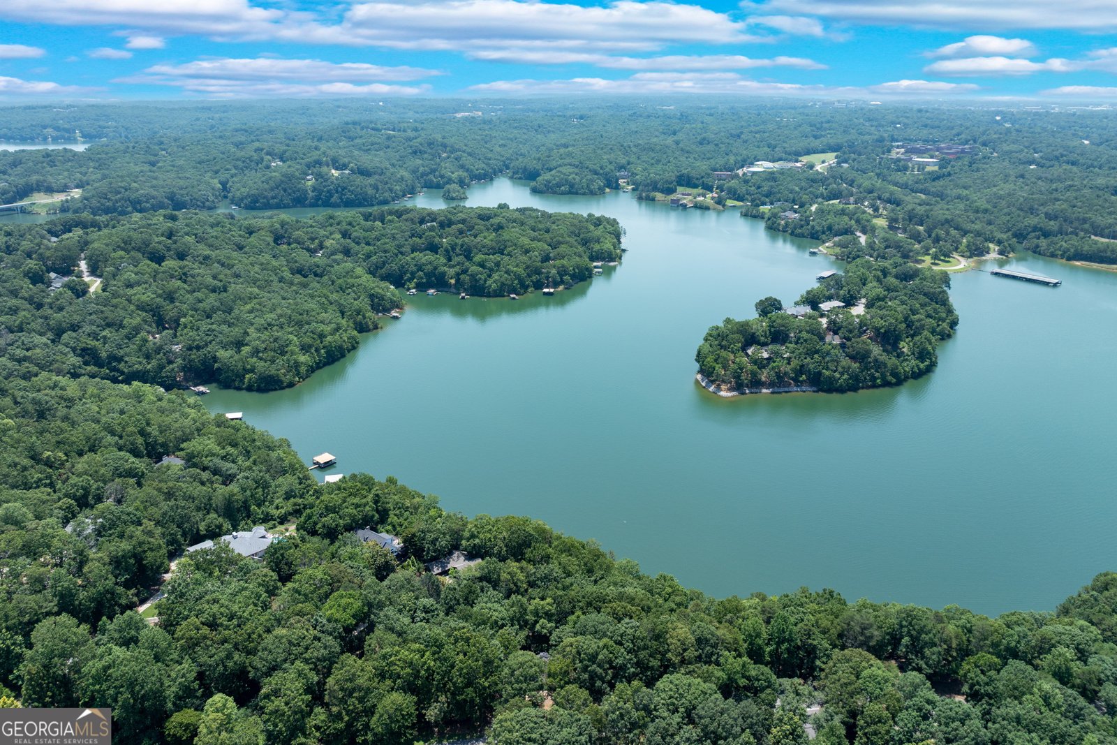 2945 Thompson Mill Road Gainesville - 65
