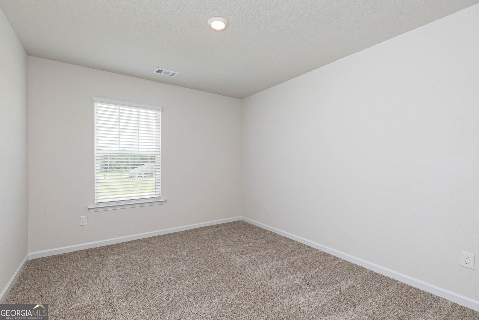 288 Oliver Drive Locust Grove - 17