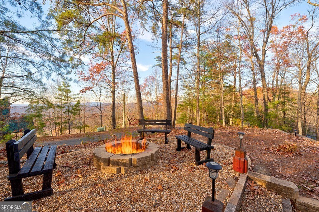 588 Tower Road Mineral Bluff - 19