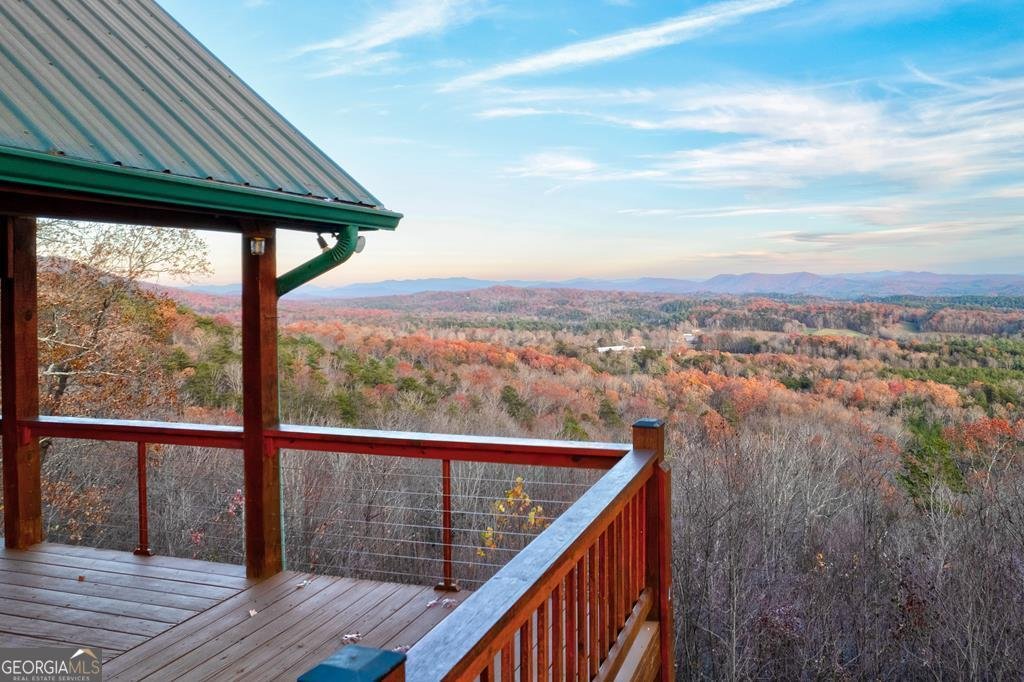 588 Tower Road Mineral Bluff - 4
