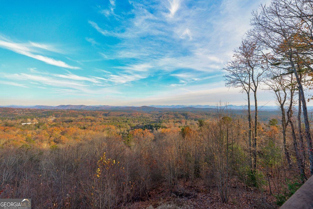 588 Tower Road Mineral Bluff - 40