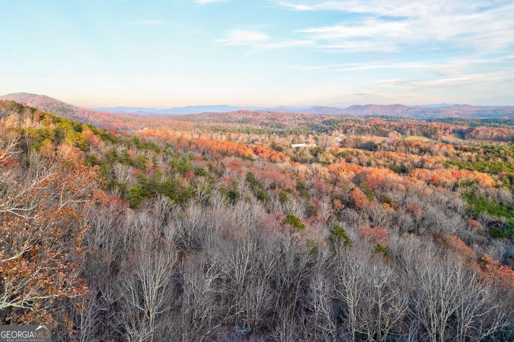588 Tower Road Mineral Bluff - 5