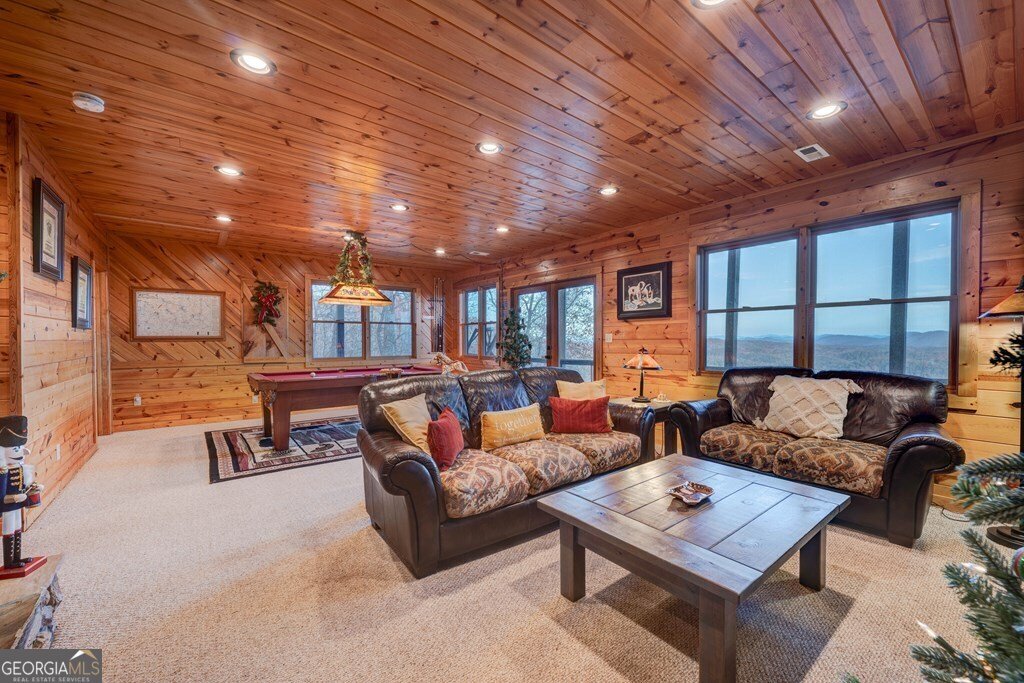 588 Tower Road Mineral Bluff - 50