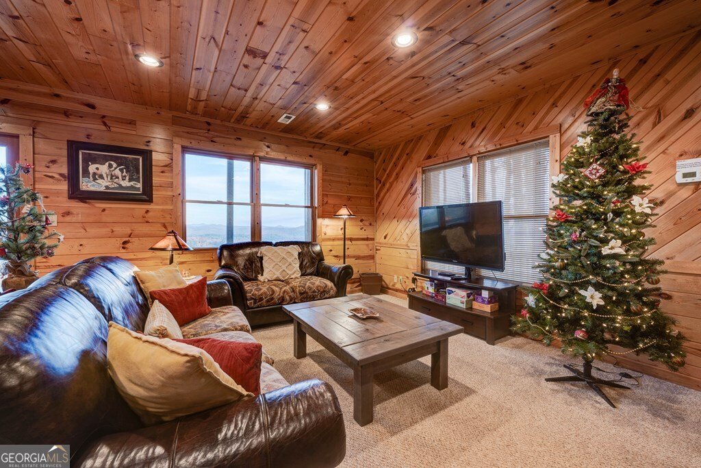 588 Tower Road Mineral Bluff - 52