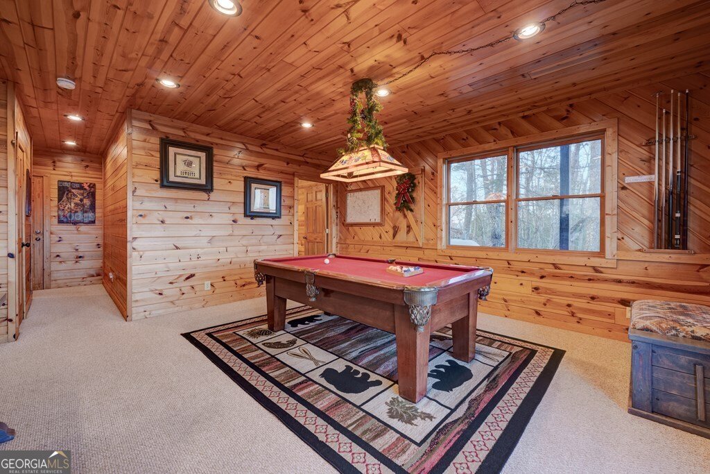 588 Tower Road Mineral Bluff - 54