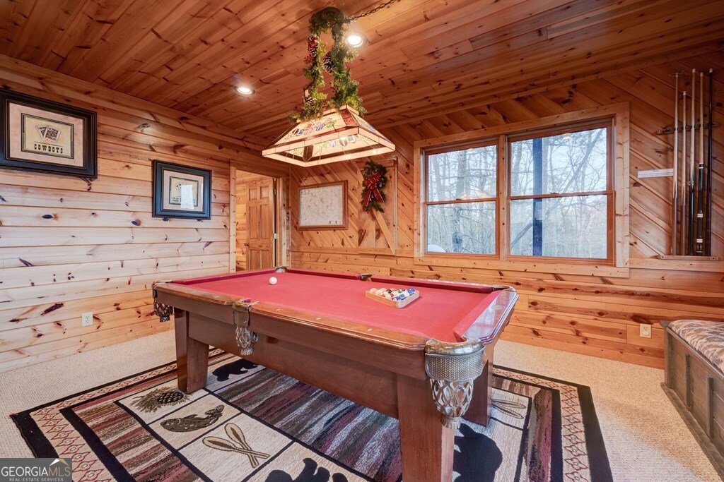 588 Tower Road Mineral Bluff - 55