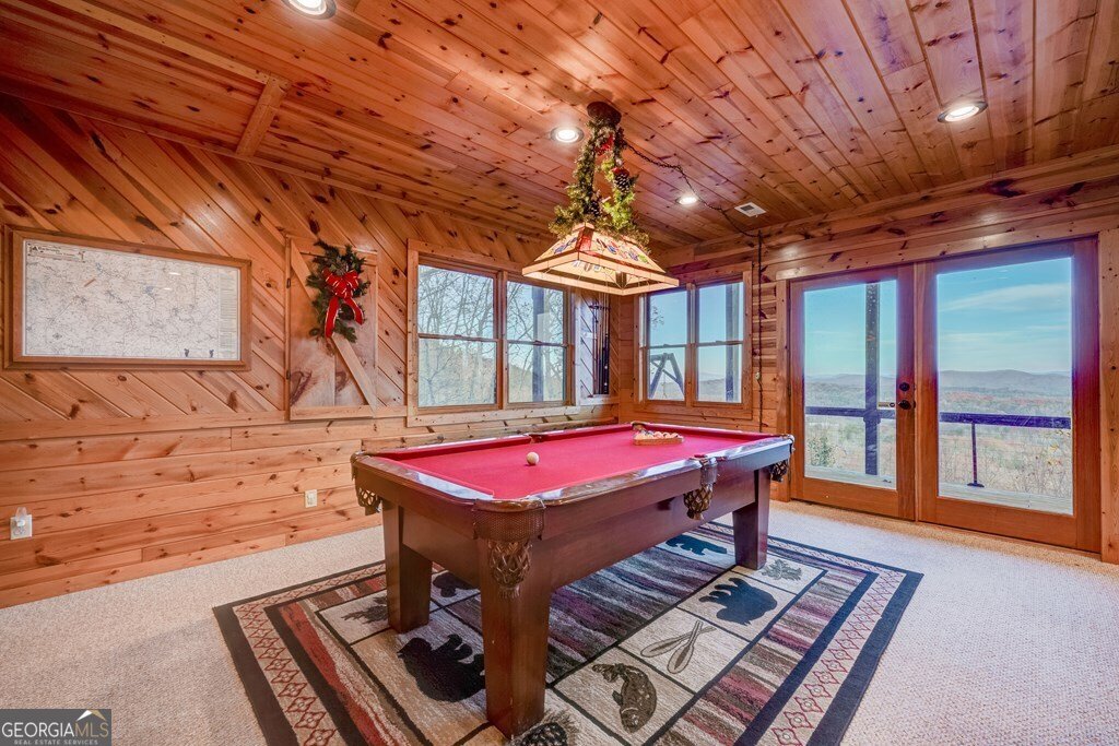 588 Tower Road Mineral Bluff - 56