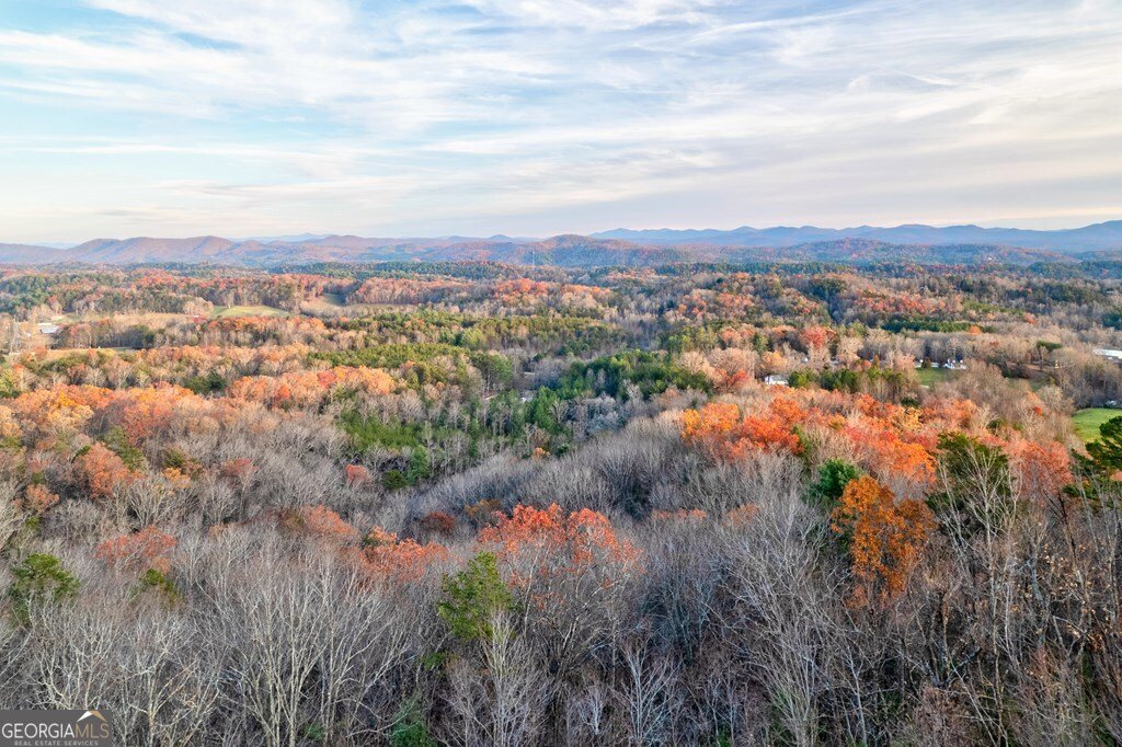 588 Tower Road Mineral Bluff - 6