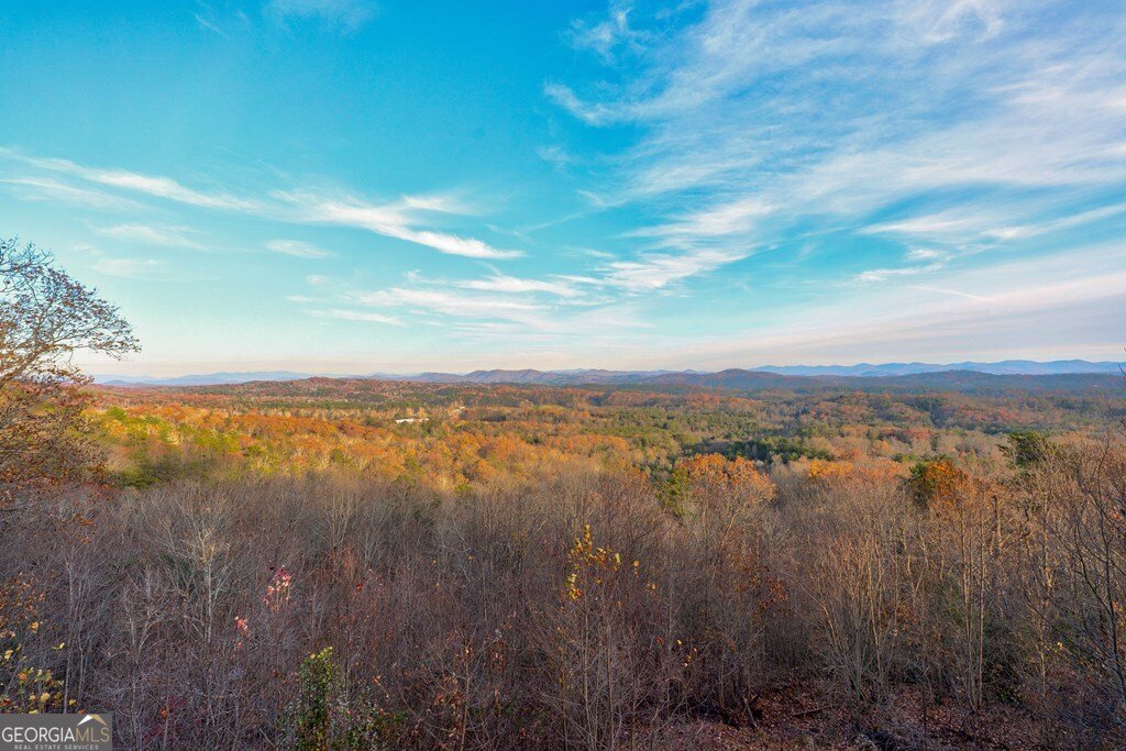 588 Tower Road Mineral Bluff - 65