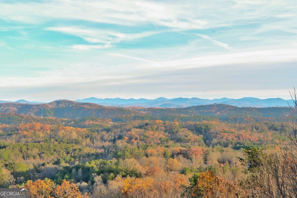588 Tower Road Mineral Bluff - 68