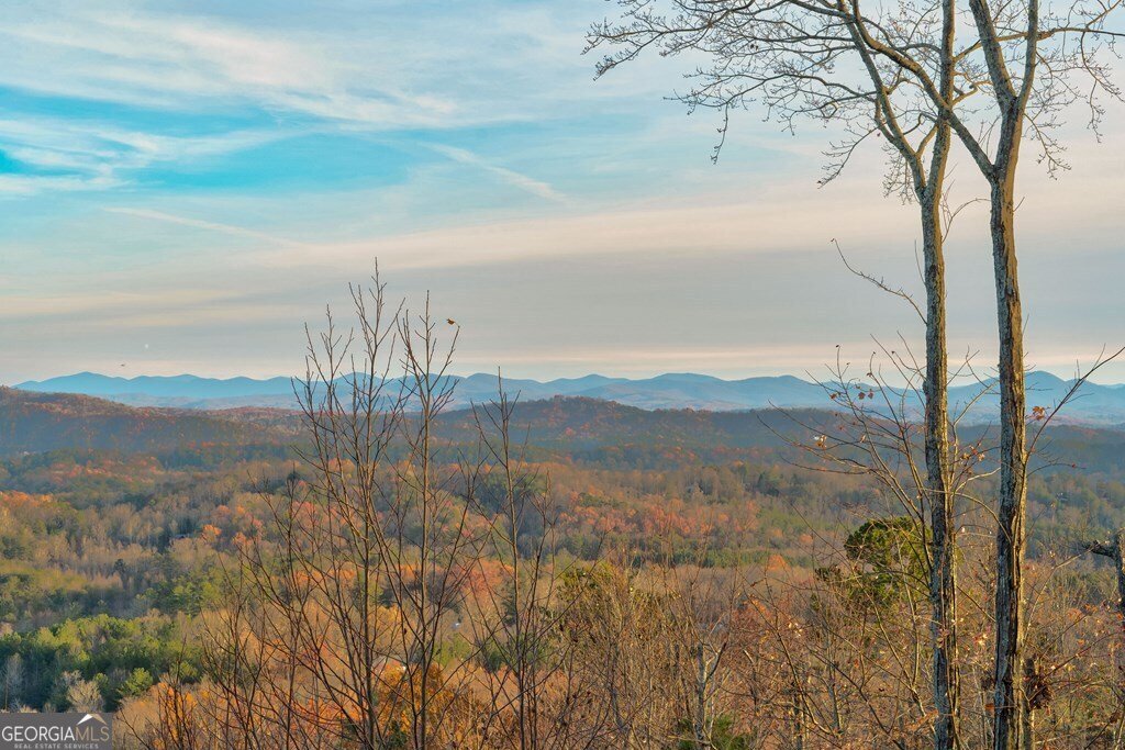 588 Tower Road Mineral Bluff - 69