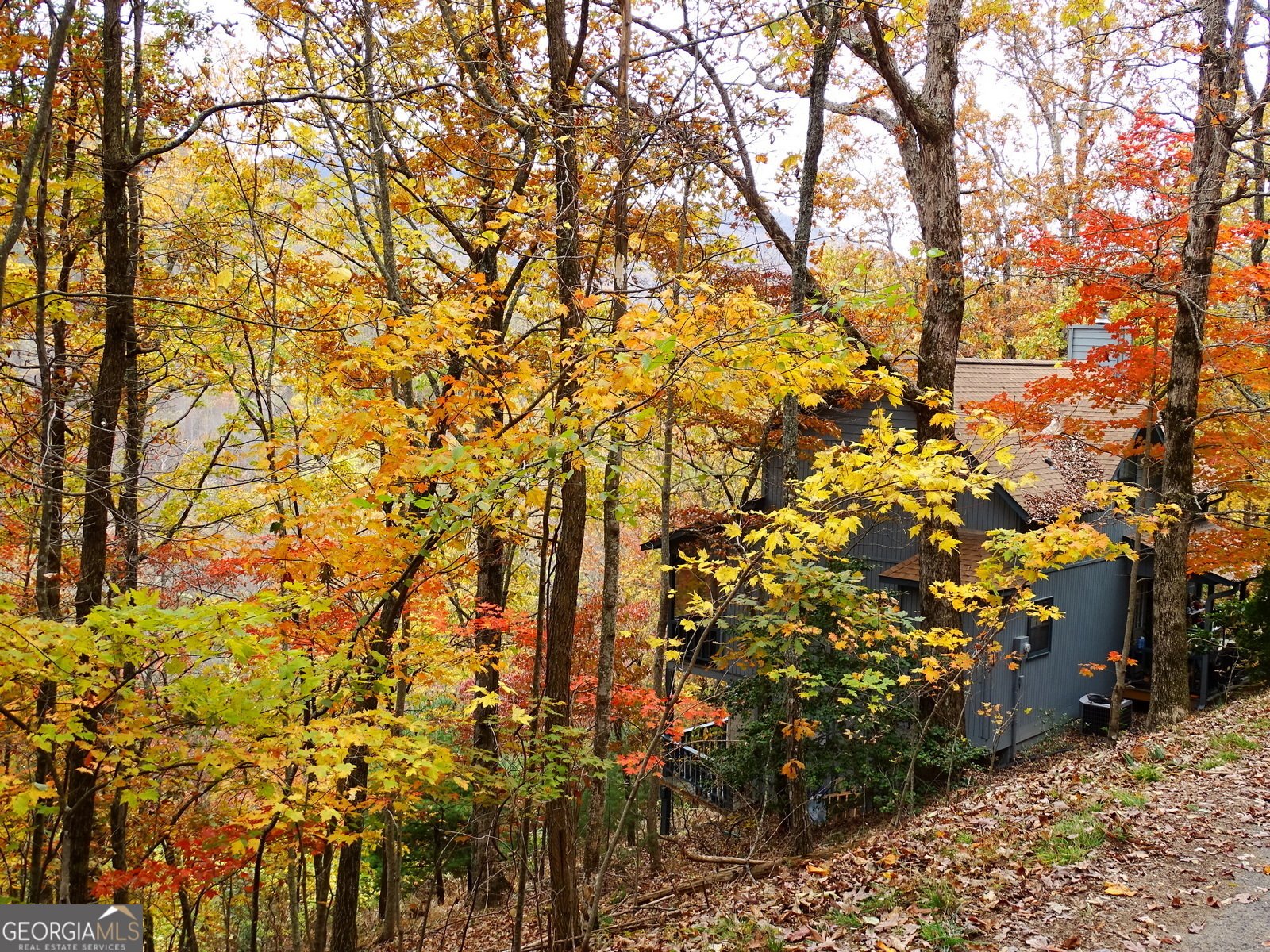 531 Wilson Mountain Road Blairsville - 14