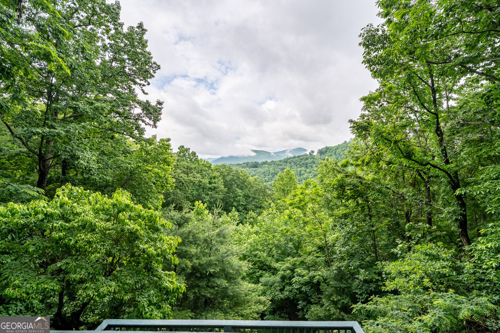 531 Wilson Mountain Road Blairsville - 27