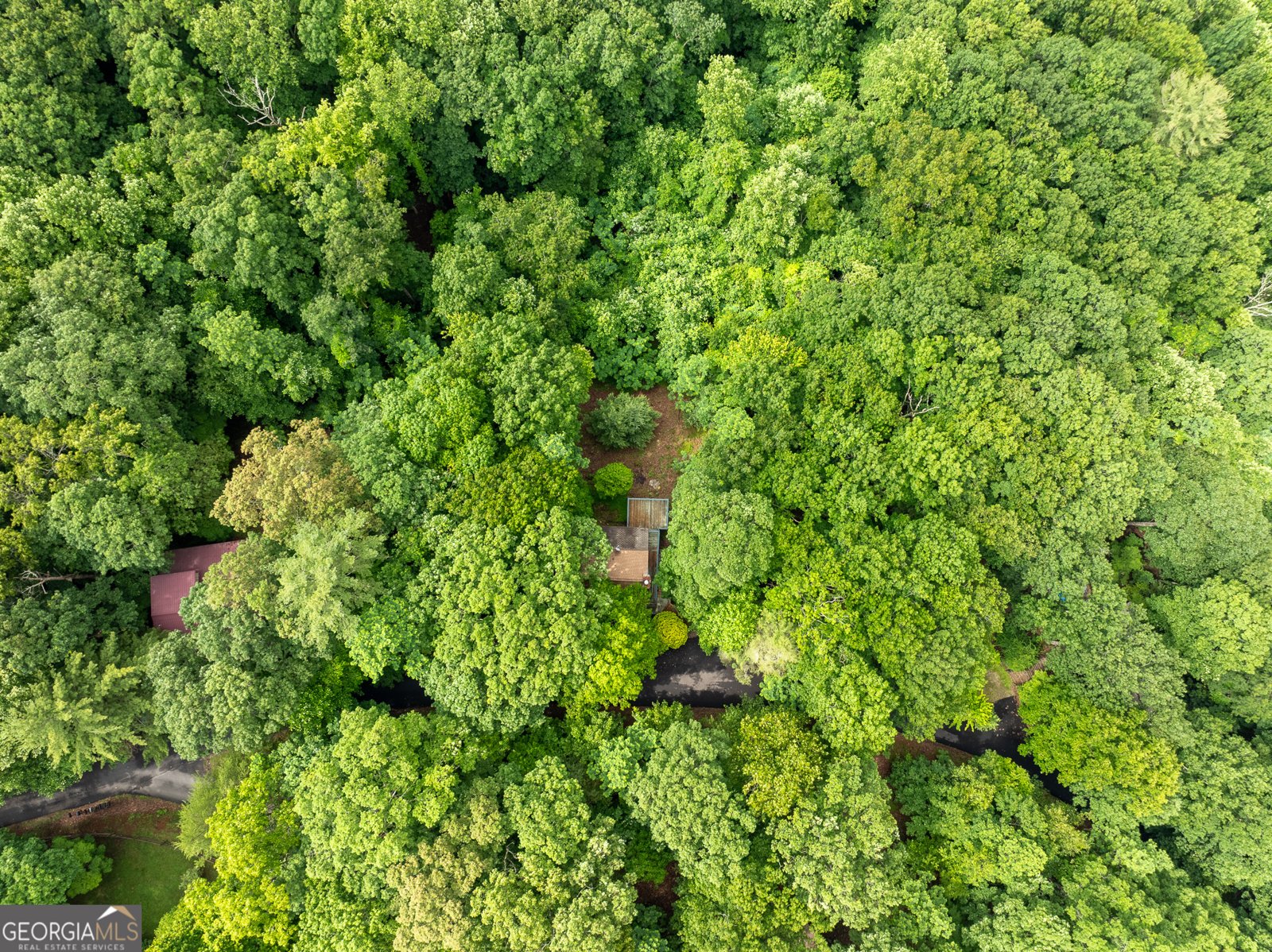 531 Wilson Mountain Road Blairsville - 9