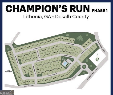 1628 PALLADIAN Drive Lithonia - 21
