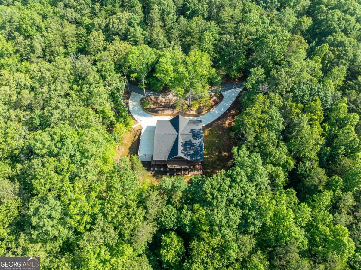 289 Scott Hollow Road Ellijay - 45