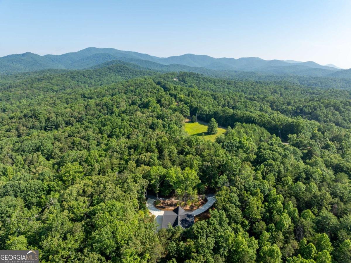 289 Scott Hollow Road Ellijay - 6