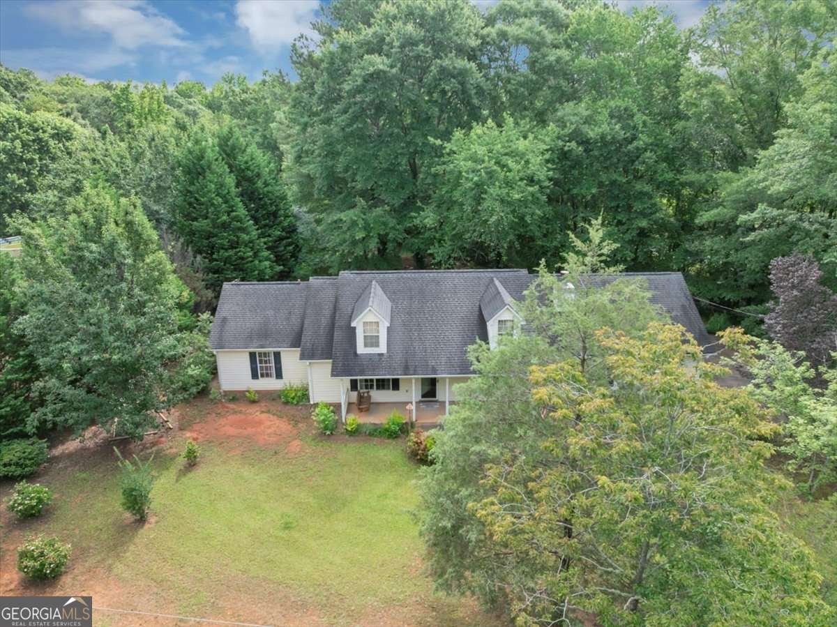 1050 Birdseye View Locust Grove - 38
