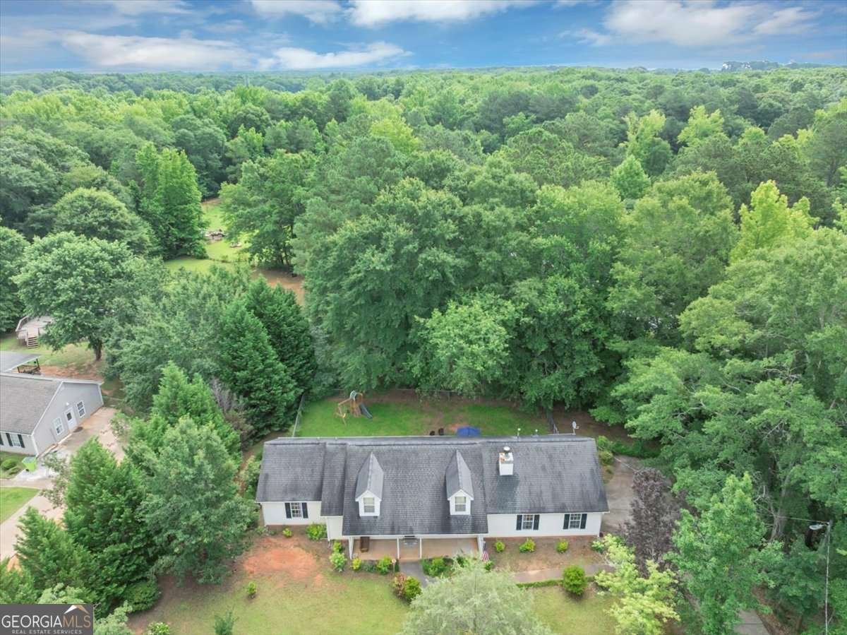 1050 Birdseye View Locust Grove - 41