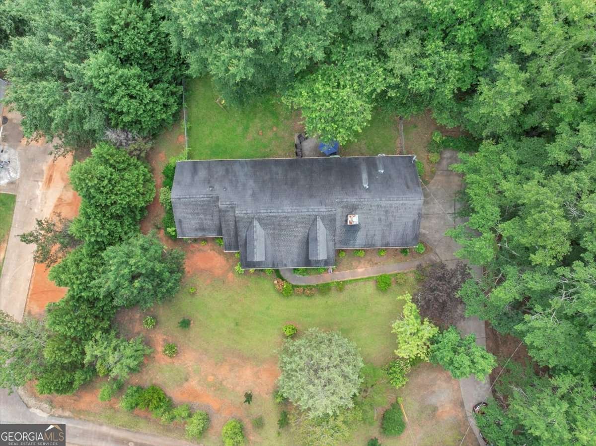 1050 Birdseye View Locust Grove - 42