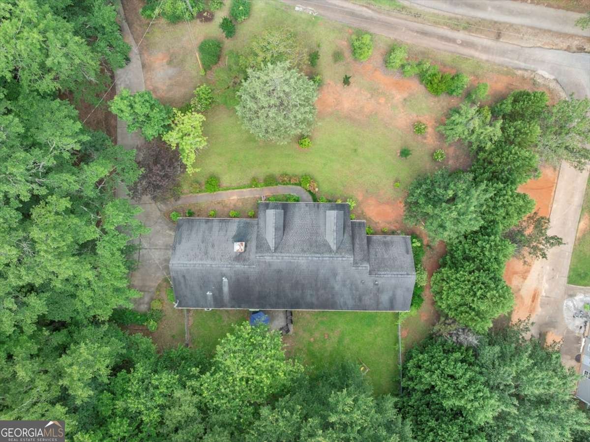 1050 Birdseye View Locust Grove - 43
