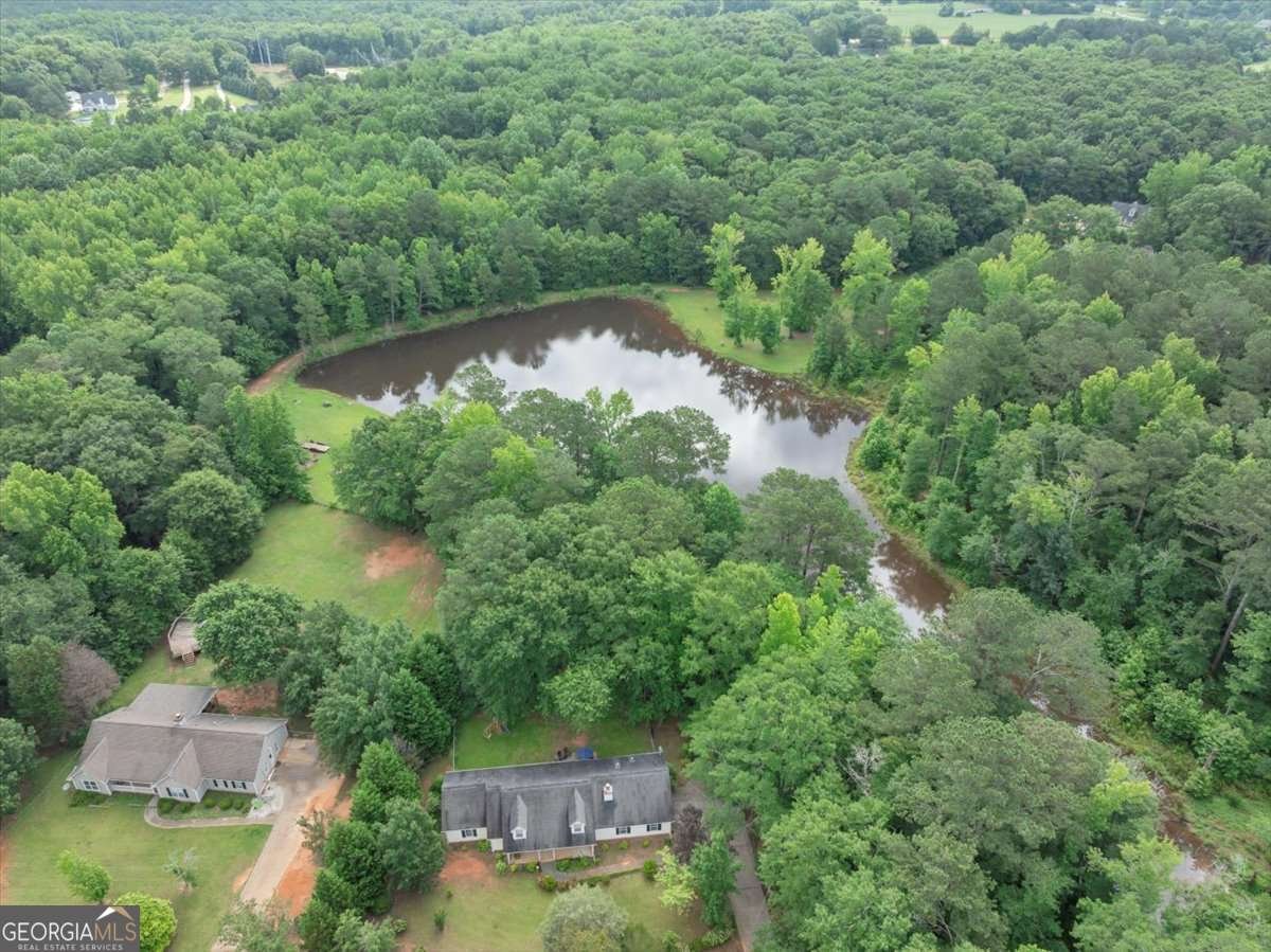 1050 Birdseye View Locust Grove - 45