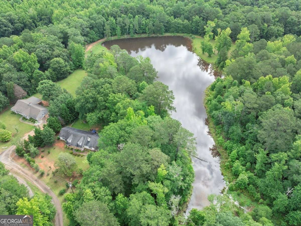 1050 Birdseye View Locust Grove - 46