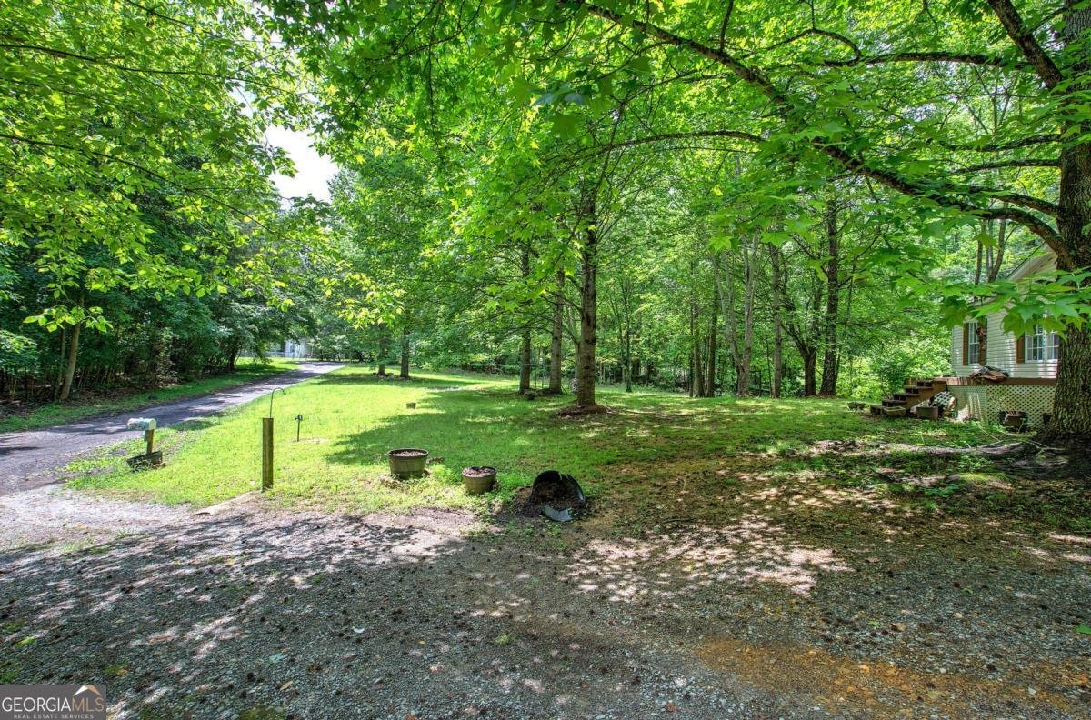 43 Floyd Mountain Circle Rockmart - 22