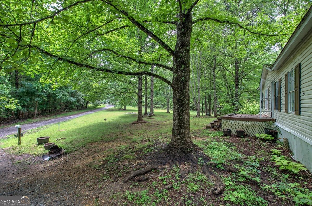 43 Floyd Mountain Circle Rockmart - 6