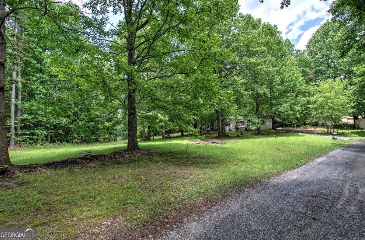 43 Floyd Mountain Circle Rockmart - 7