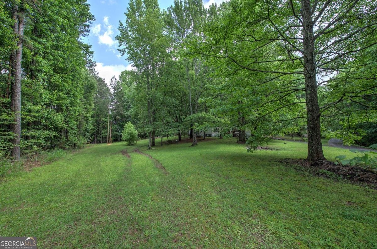 43 Floyd Mountain Circle Rockmart - 8