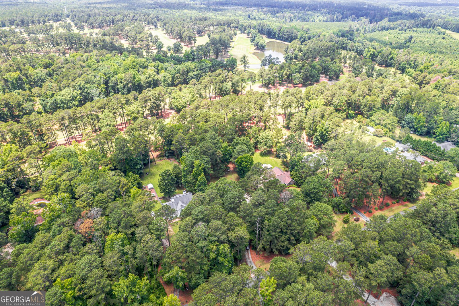 69 Club Forest Drive Tennille - 43