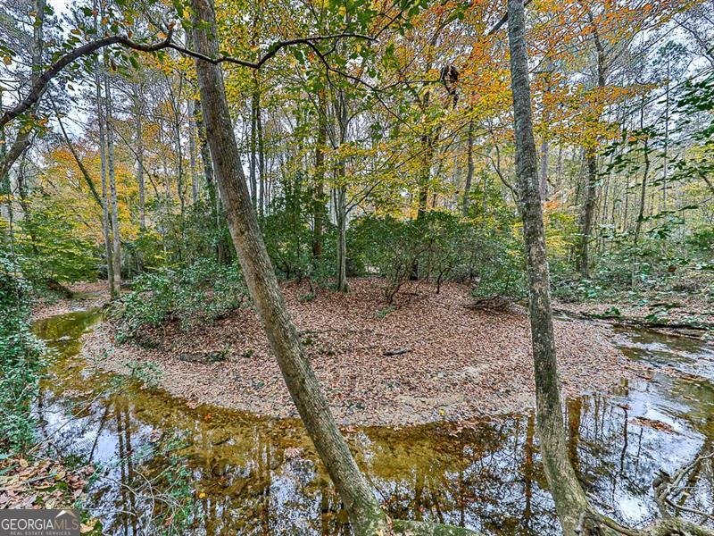 2760 HEMBREE Road Marietta - 65
