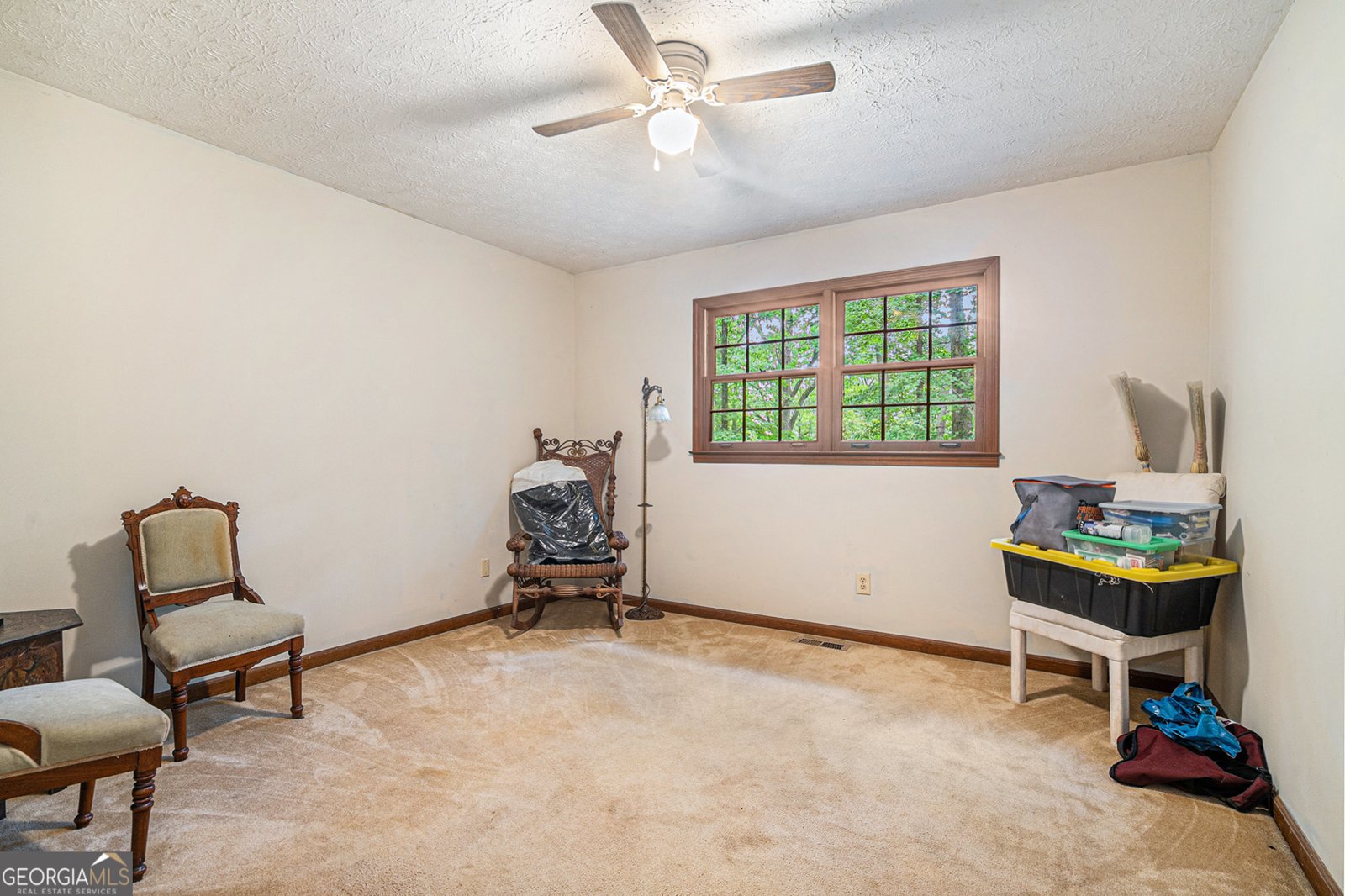 5317 Highway 81 Loganville - 19
