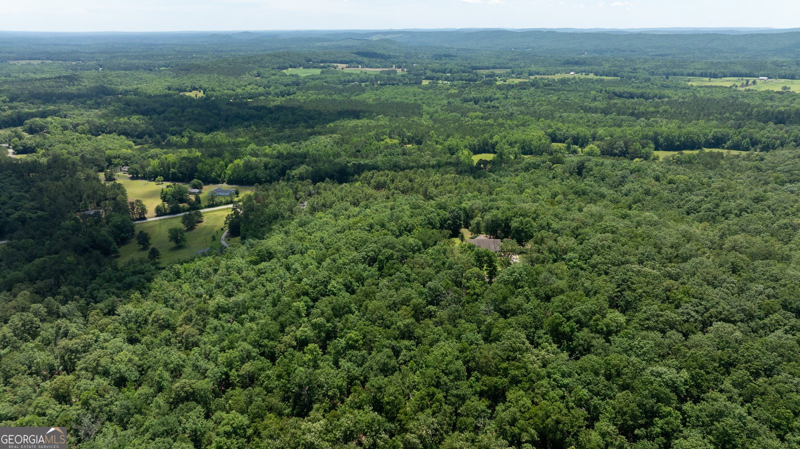 1856 Pickard Road Thomaston - 110