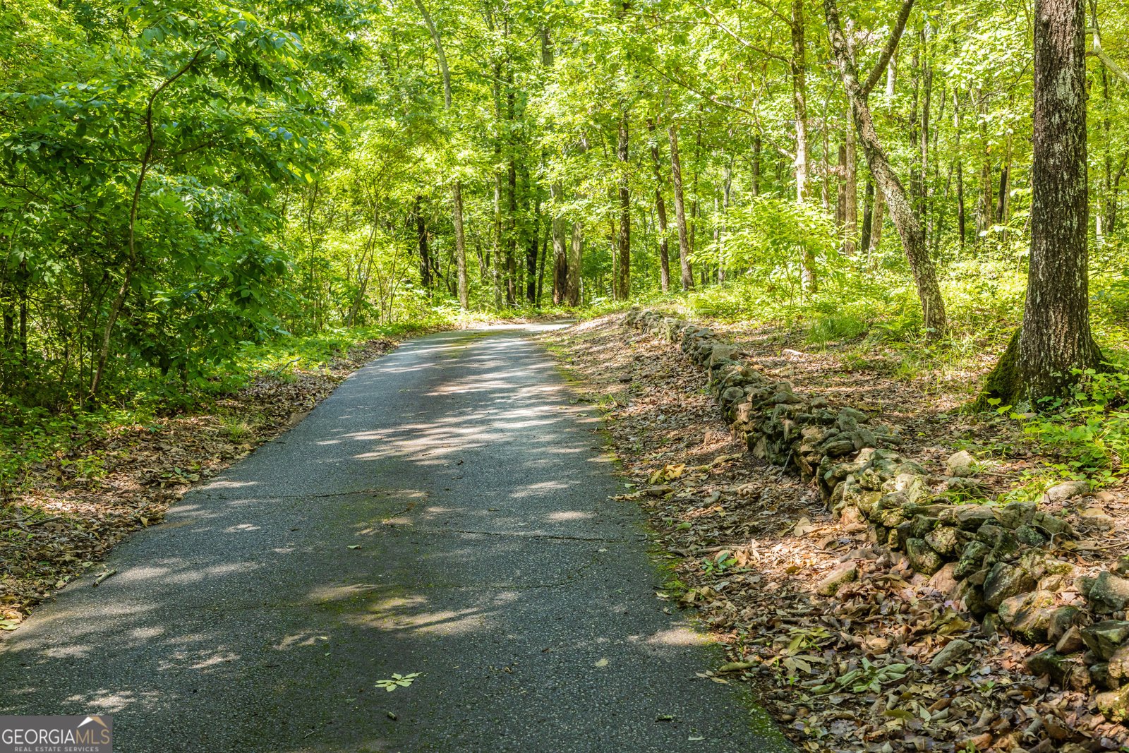 1856 Pickard Road Thomaston - 90