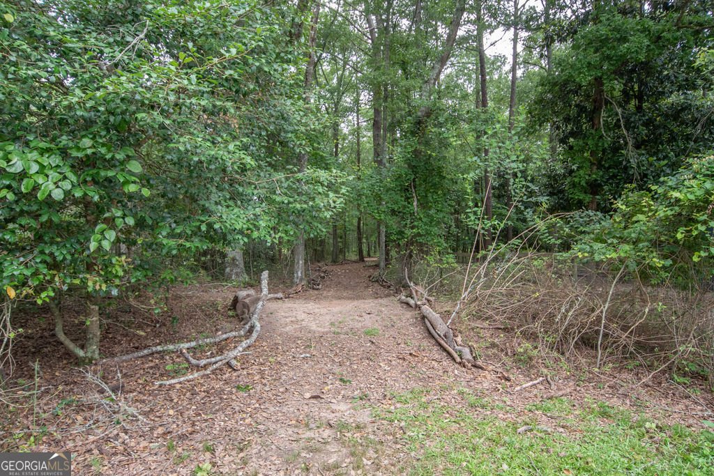 202 Oak Street Luthersville - 79