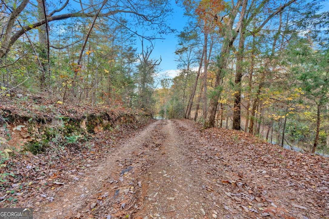 790 HUTCHINGS MOUNTAIN Road Rockmart - 3