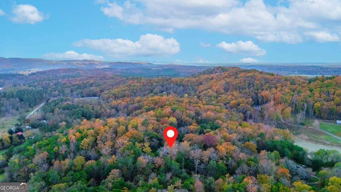 790 HUTCHINGS MOUNTAIN Road Rockmart - 30