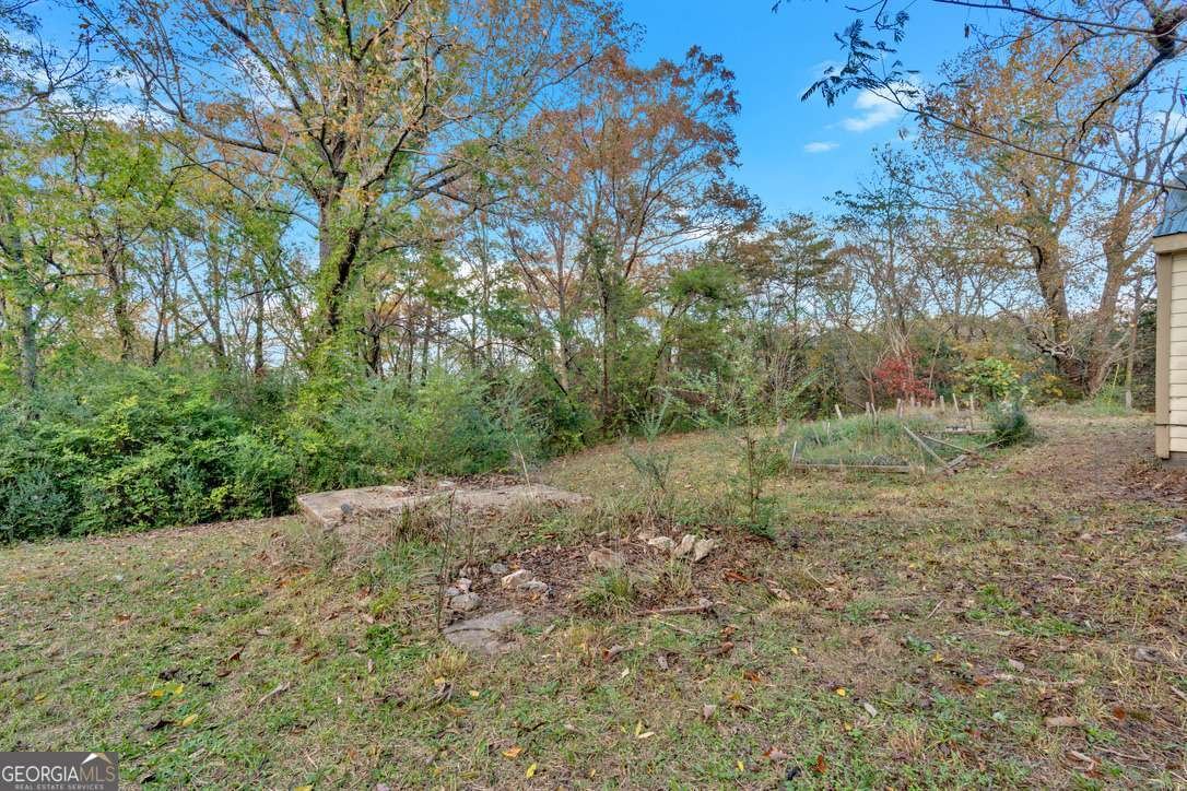 790 HUTCHINGS MOUNTAIN Road Rockmart - 7